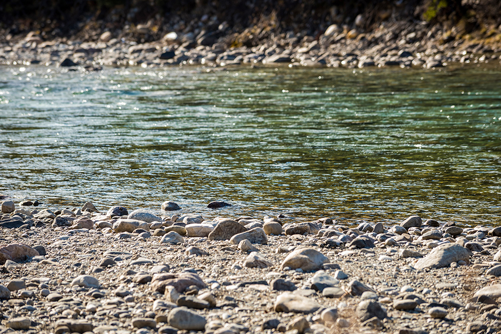 EDGE Contributes to Rare Freshwater Mussel Discovery in Tennessee
